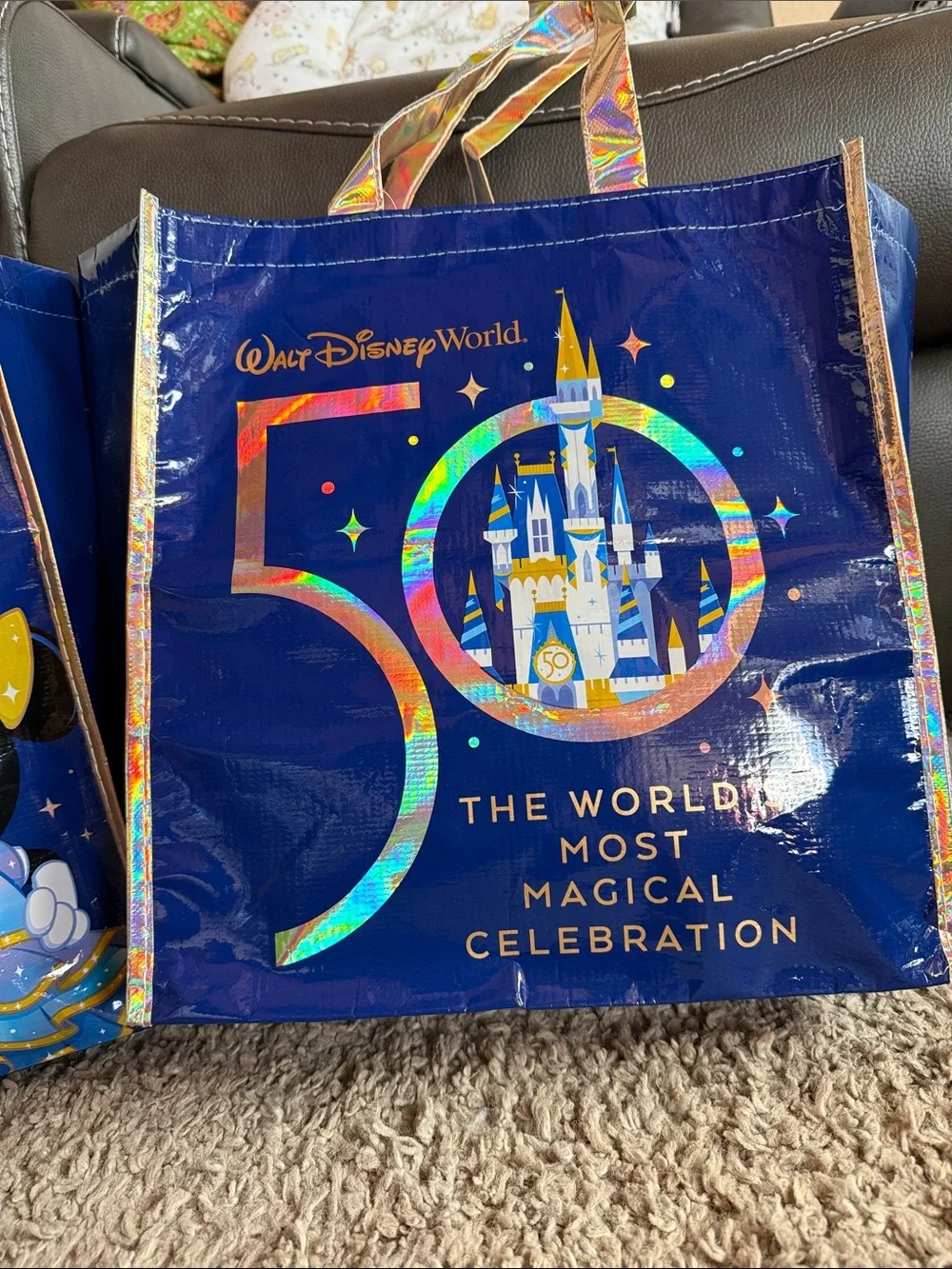 Disney set wdw